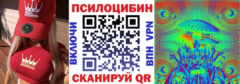 Галлюциногенные грибы мицелий закладка Тайшет