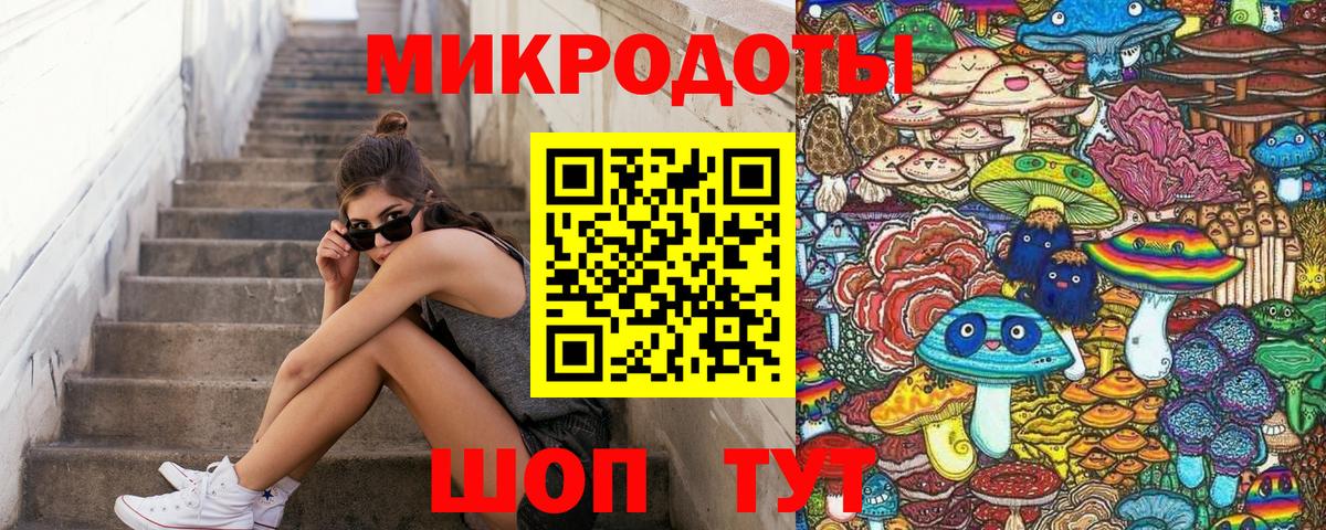 Тайшет  Псилоцибиновые грибы Psilocybe  Вход с VPN  Псилоцибиновые грибы Psilocybe 